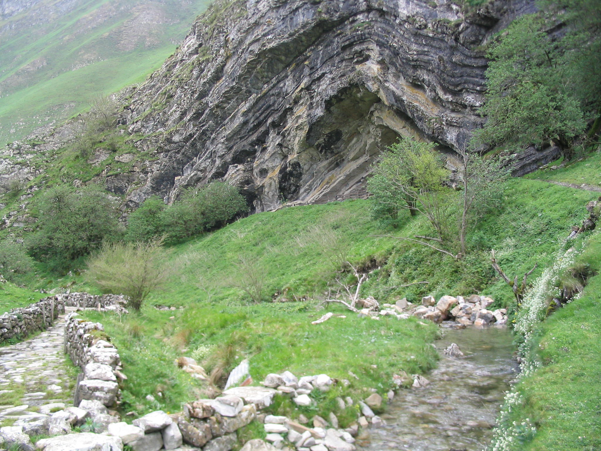 Arpea, Euskadi