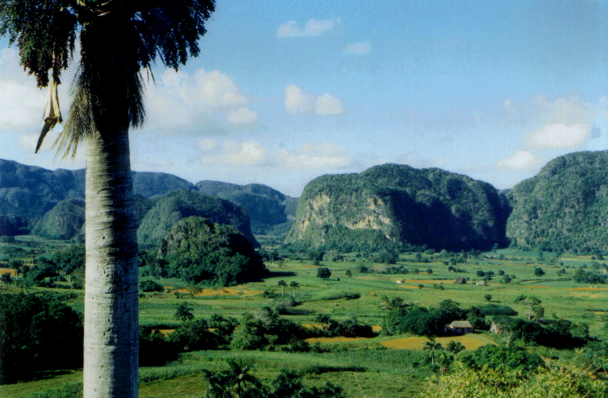 Camino de Trinidad