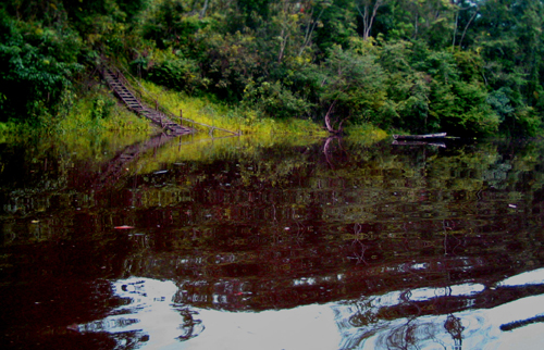 El Ucayali, afluente del Amazonas